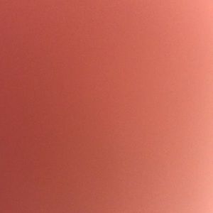 Meet your Posher, Robyn